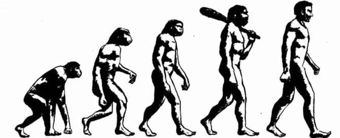 Evolution