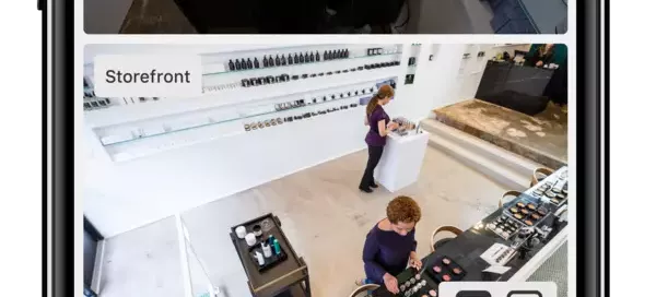 Business Security Systems
