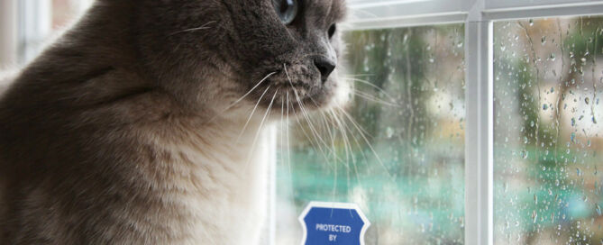 Brinks Monitoring with Cat