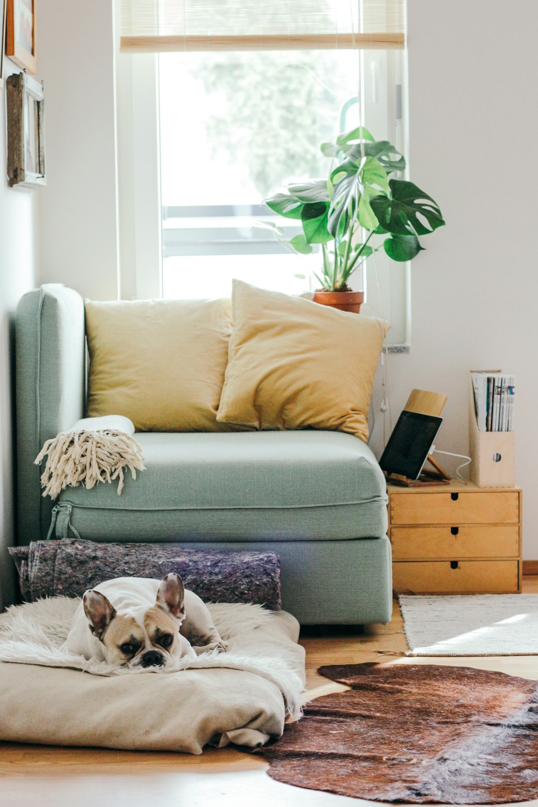 Introduction to Home Automation