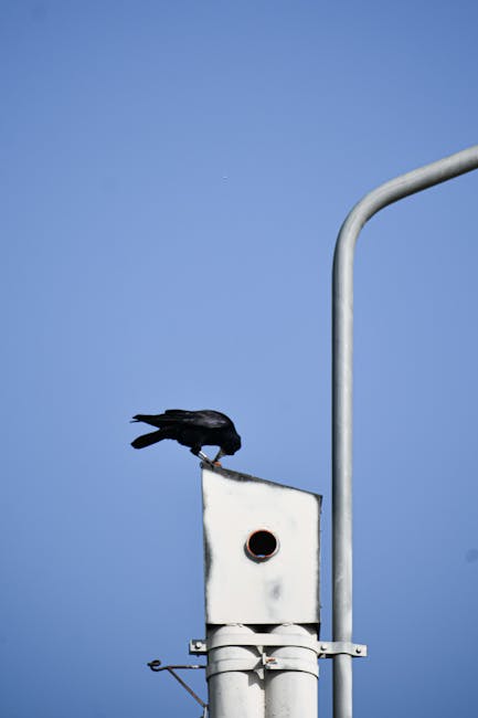 Cost-Effective Alarm Monitoring Solutions