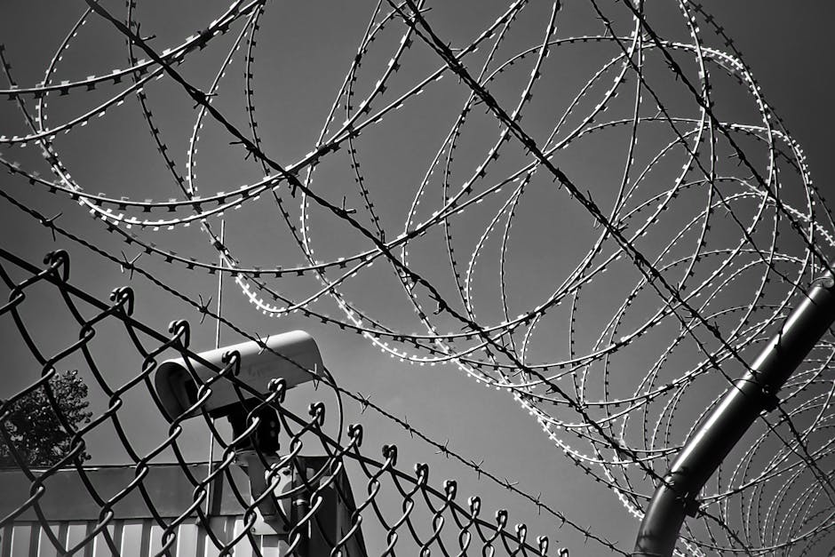 Enhancing Perimeter Protection with Security Cameras