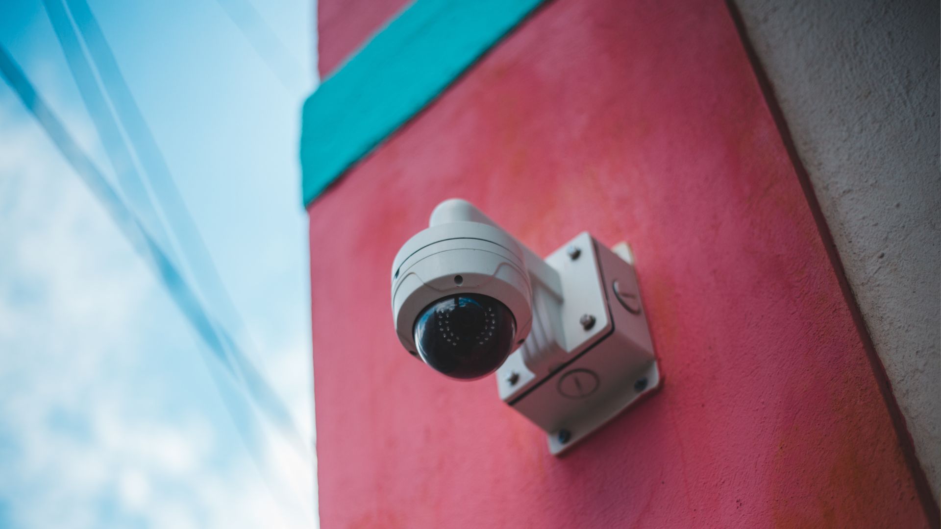 Analog vs. IP Cameras: Key Differences Every Business Should Know