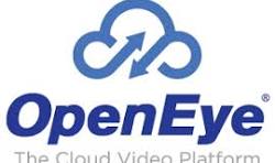OpenEye security camera used for professional video surveillance and monitoring